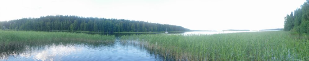 See_03.jpg See_03.jpg